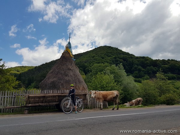 bike transylvania cyclist portrait 600